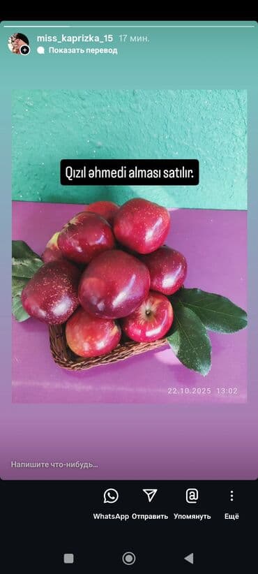 Сухофрукты: Məhsul: Qızıl Əhmədi alması at lalafo.az — 1 Сухофрукты: Məhsul: Qızıl Əhmədi alması — 1