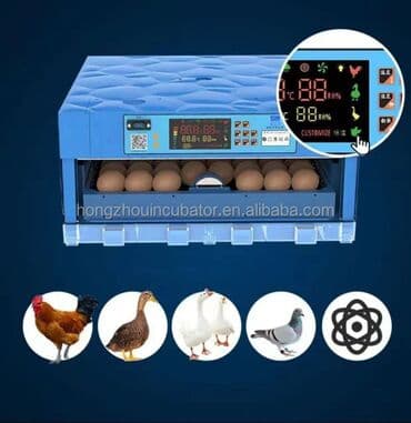 Tam avtomat, Bütün növ quşlaq üçün, Zəmanət ilə lalafo.az -da Tam avtomat, Bütün növ quşlaq üçün, Zəmanət ilə