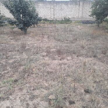 Гаражи: 10 соток, Для строительства, Собственник, Купчая at lalafo.az — 3 Гаражи: 10 соток, Для строительства, Собственник, Купчая — 3