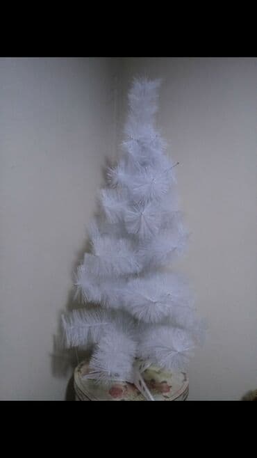 Şam ağacı
Ёлка lalafo.az -da Şam ağacı
Ёлка