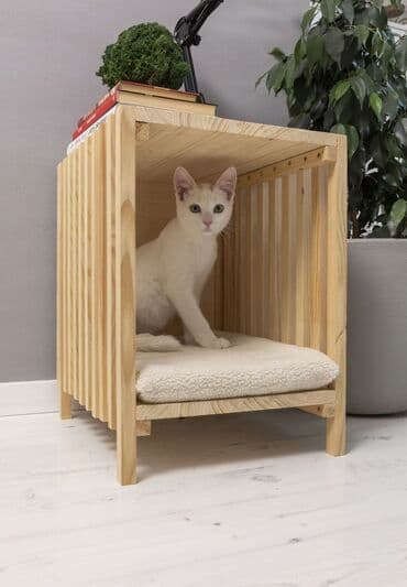 🐾 Ev heyvanınız üçün mükəmməl rahatlıq! Təbii ağacdan hazırlanmış bu lalafo.az -da 🐾 Ev heyvanınız üçün mükəmməl rahatlıq! Təbii ağacdan hazırlanmış bu