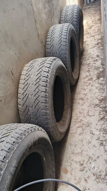 Şin Continental 265 / 65 / R 17 lalafo.az -da Şin Continental 265 / 65 / R 17