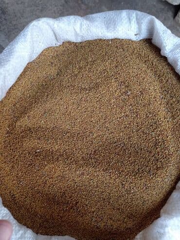 Salam, yoldaşlar təmizlənmiş yonca toxumu satılır. Qiyməti 4 manat lalafo.az -da Salam, yoldaşlar təmizlənmiş yonca toxumu satılır. Qiyməti 4 manat