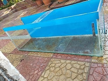 Böyük ölçülü şüşə akvarium - Material: qalın, şəffaf şüşə korpus; üst lalafo.az -da Böyük ölçülü şüşə akvarium - Material: qalın, şəffaf şüşə korpus; üst