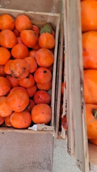 Соления: Məhsul: Öz bağımızdan Xurma . Ağdaş Xurması. Qiyməti - 0.70. Çox at lalafo.az — 9 Соления: Məhsul: Öz bağımızdan Xurma . Ağdaş Xurması. Qiyməti - 0.70. Çox — 9