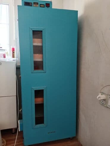 Экстракторы масла: 300 яиц, Для всех видов птиц at lalafo.az — 3 Экстракторы масла: 300 яиц, Для всех видов птиц — 3