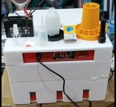 Avtomatik yumurta inkubatoru – rəqəmsal idarəetmə paneli və tam dəst lalafo.az -da Avtomatik yumurta inkubatoru – rəqəmsal idarəetmə paneli və tam dəst