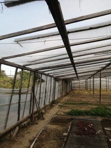 Parnikin bütün turbaları satılır rusun turbalarıdı maraqlanan olsa lalafo.az -da Parnikin bütün turbaları satılır rusun turbalarıdı maraqlanan olsa