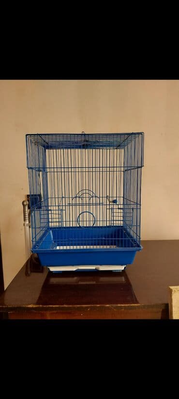 Qefes satilir su qabisi ve yem qabi yoxdur. 20 manata satiram lalafo.az -da Qefes satilir su qabisi ve yem qabi yoxdur. 20 manata satiram