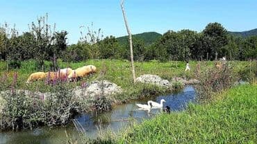 Qəbələ, 170 kv. m, 6 otaqlı, Qaz, İşıq, Su lalafo.az -da Qəbələ, 170 kv. m, 6 otaqlı, Qaz, İşıq, Su