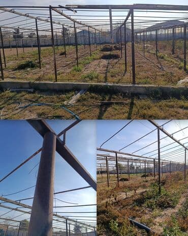 Газовые трубы: 2 eded parnik satilir.Rusun demirinnen yigilib. Uzunu 27 mt Eni 15 mt at lalafo.az — 1 Газовые трубы: 2 eded parnik satilir.Rusun demirinnen yigilib. Uzunu 27 mt Eni 15 mt — 1