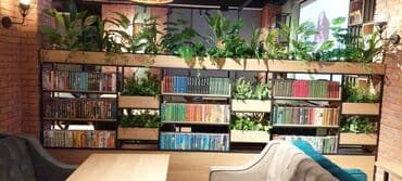 Информатика: Dekorativ Kitabların Satışı Restoran, Kafe, Plaza və Dükanlar üçün! at lalafo.az — 7 Информатика: Dekorativ Kitabların Satışı Restoran, Kafe, Plaza və Dükanlar üçün! — 7