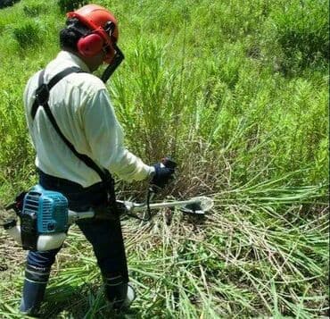 Benzin Otbiçən Yeni, Ünvandan götürmə, Pulsuz çatdırılma, Ödənişli çatdırılma lalafo.az -da Benzin Otbiçən Yeni, Ünvandan götürmə, Pulsuz çatdırılma, Ödənişli çatdırılma
