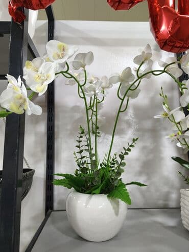 Dekorativ süni orkide kompozisiyası – ağ keramik qablarda. - lalafo.az -da Dekorativ süni orkide kompozisiyası – ağ keramik qablarda. -