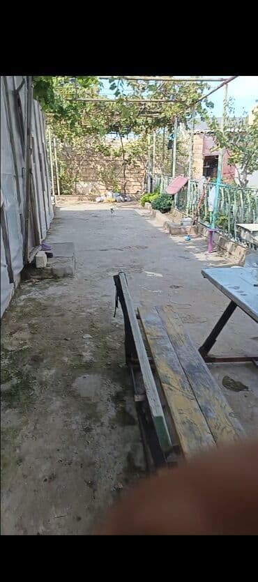 Теплицы: Bağ sahəsi və istixana kompleksi - Geniş həyət: beton örtüklü və at lalafo.az — 1 Теплицы: Bağ sahəsi və istixana kompleksi - Geniş həyət: beton örtüklü və — 1