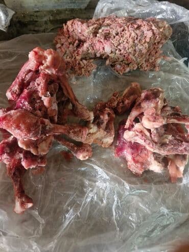 İt yemləri 25 qepık lalafo.az -da İt yemləri 25 qepık