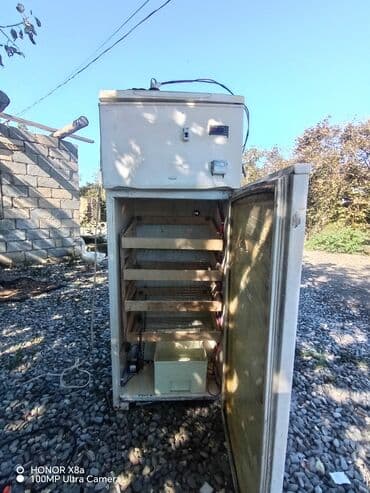 300 yumurta, Azərbaycan, Azərbaycan dilində təlimat lalafo.az -da 300 yumurta, Azərbaycan, Azərbaycan dilində təlimat