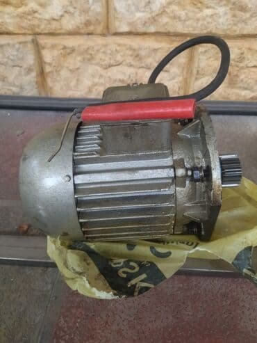 Sənaye elektrik mühərriki – IREM “Electromotorenwerk Sf. Gheorghe” lalafo.az -da Sənaye elektrik mühərriki – IREM “Electromotorenwerk Sf. Gheorghe”