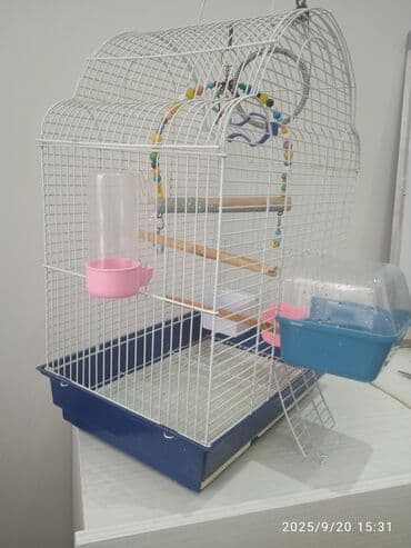 Quş qəfəsi iridir, ( ovzu, iki em qabisi, su qabı, oynacagi) lalafo.az -da Quş qəfəsi iridir, ( ovzu, iki em qabisi, su qabı, oynacagi)