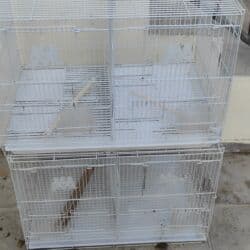 Salam Hər vaxtiniz Xeyirli olsun qəfəslərdə yuva yerləri lalafo.az -da Salam Hər vaxtiniz Xeyirli olsun qəfəslərdə yuva yerləri