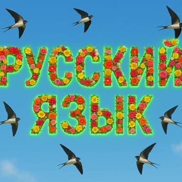 Məktəbəqədər və ibtidai sinif hazırlığı, Rus dili, Fərdi, Evə gəlməklə lalafo.az -da Məktəbəqədər və ibtidai sinif hazırlığı, Rus dili, Fərdi, Evə gəlməklə