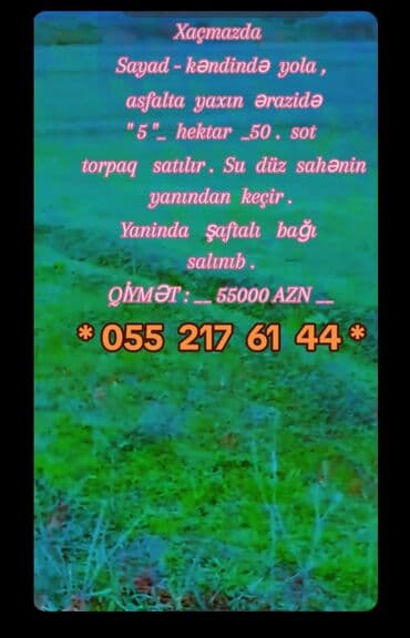 50 sot, Kənd təsərrüfatı lalafo.az -da 50 sot, Kənd təsərrüfatı