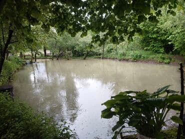 27 sot, Tikinti, Mülkiyyətçi, Kupça (Çıxarış) lalafo.az -da 27 sot, Tikinti, Mülkiyyətçi, Kupça (Çıxarış)