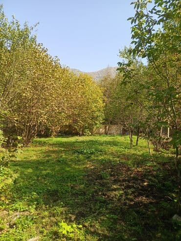 Реечные панели: 10 соток, Для бизнеса, Возможен обмен, Купчая at lalafo.az — 6 Реечные панели: 10 соток, Для бизнеса, Возможен обмен, Купчая — 6