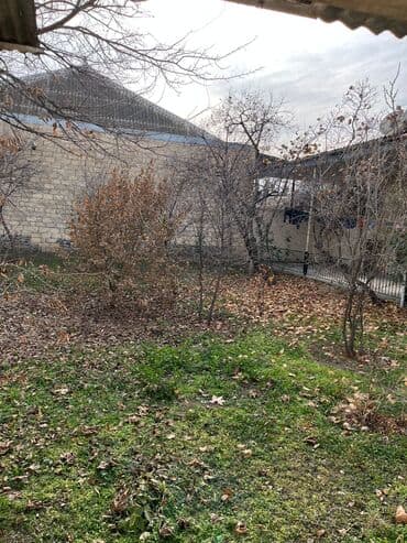 Biznes üçün, Mülkiyyətçi, Kupça (Çıxarış) lalafo.az -da Biznes üçün, Mülkiyyətçi, Kupça (Çıxarış)