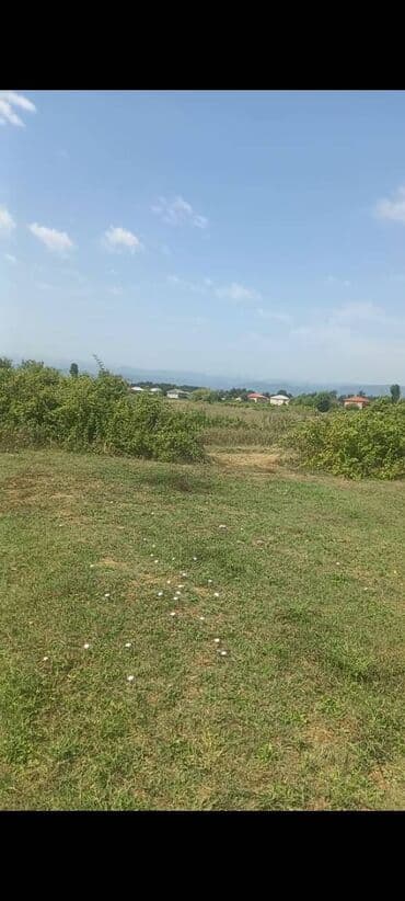 28 sot, Kənd təsərrüfatı, Kupça (Çıxarış) lalafo.az -da 28 sot, Kənd təsərrüfatı, Kupça (Çıxarış)