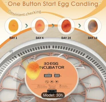 Экстракторы масла: Полностью автоматическая at lalafo.az — 4 Экстракторы масла: Полностью автоматическая — 4