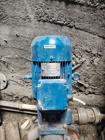 Şaquli sirkulyasiya nasosu (2 ədəd) (qiymət Razılaşma Marka: LOWARA lalafo.az -da Şaquli sirkulyasiya nasosu (2 ədəd) (qiymət Razılaşma Marka: LOWARA