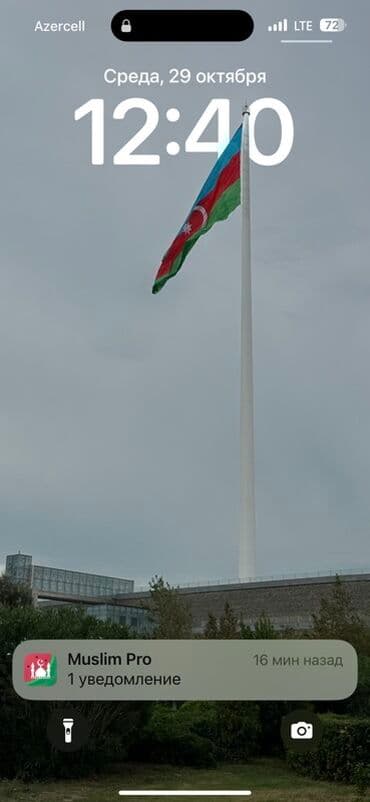 Подарю картину гранатовое дерево lalafo.az -da Подарю картину гранатовое дерево