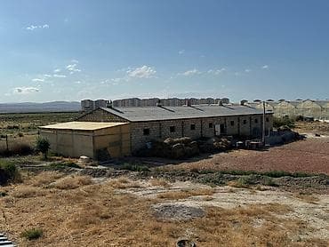 30 sot, Kənd təsərrüfatı lalafo.az -da 30 sot, Kənd təsərrüfatı