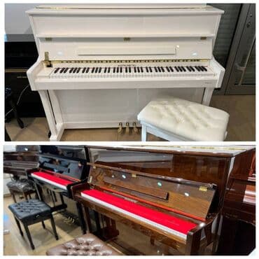 Royallar: Piano, Kingsburg, Akustik, Yeni, Pulsuz çatdırılma lalafo.az -da — 1 Royallar: Piano, Kingsburg, Akustik, Yeni, Pulsuz çatdırılma — 1