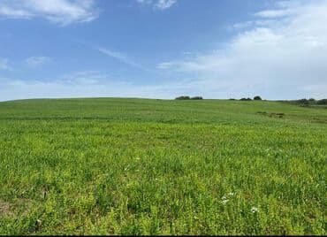 3300 sot, Kənd təsərrüfatı, Maklerlər narahat etməsin, Kupça (Çıxarış) lalafo.az -da 3300 sot, Kənd təsərrüfatı, Maklerlər narahat etməsin, Kupça (Çıxarış)