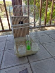 Quş qəfəsi və yuvalama qutusu dəsti - Material: ağ rəngli metal lalafo.az -da Quş qəfəsi və yuvalama qutusu dəsti - Material: ağ rəngli metal