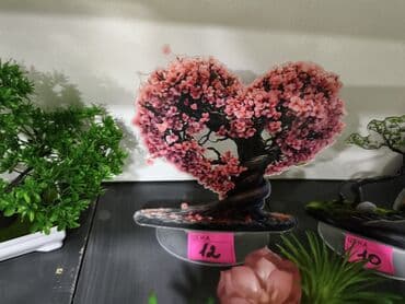 Fiqur, rəng - Çəhrayı lalafo.az -da Fiqur, rəng - Çəhrayı