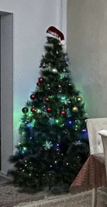 Yolka 180 boy, 1 defe qurulub, 180 azn alinib 90 azn satilir lalafo.az -da Yolka 180 boy, 1 defe qurulub, 180 azn alinib 90 azn satilir