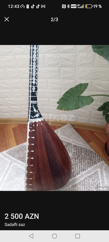 Okean sədəfli milli ideal saz kəməri dəridəndi lalafo.az -da Okean sədəfli milli ideal saz kəməri dəridəndi