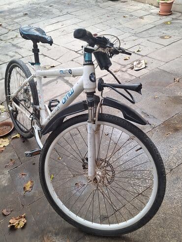 Salam. yaxsi veziyetdedir cuzi xerci var. herseyi isleyir skoruslar lalafo.az -da Salam. yaxsi veziyetdedir cuzi xerci var. herseyi isleyir skoruslar