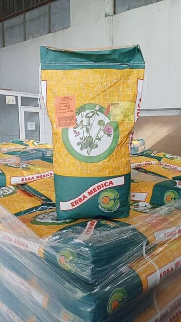 Yonca toxumu-Bluemoon (İtaliya) GÖZLƏNİLƏN ƏFSANƏVİ BLUE MOON YONCASI lalafo.az -da Yonca toxumu-Bluemoon (İtaliya) GÖZLƏNİLƏN ƏFSANƏVİ BLUE MOON YONCASI