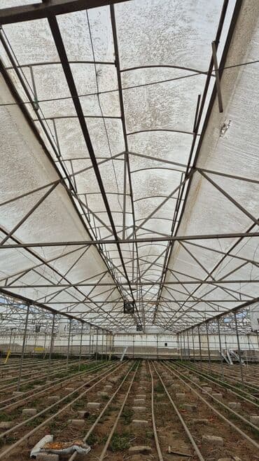 325 eded ferma satlir ölçü 10mtr📍50lik Rusyanin Uqolnikden yığlıb 📍1 lalafo.az -da 325 eded ferma satlir ölçü 10mtr📍50lik Rusyanin Uqolnikden yığlıb 📍1