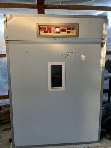 1100 yumurta, Çin, Tam avtomat lalafo.az -da 1100 yumurta, Çin, Tam avtomat