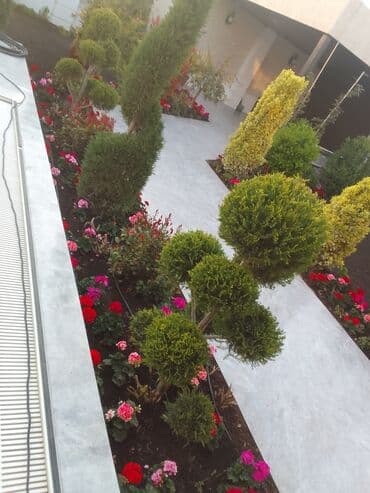 Anbar: Bağban axran işderi axtarıram bağa ayid bütün işlər işdəyirəm qazon lalafo.az -da — 1 Anbar: Bağban axran işderi axtarıram bağa ayid bütün işlər işdəyirəm qazon — 1