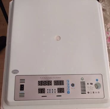 Salam. İnkubator yenidir. Təzə almışıq lakin heç işlətməmişik. Bina lalafo.az -da Salam. İnkubator yenidir. Təzə almışıq lakin heç işlətməmişik. Bina