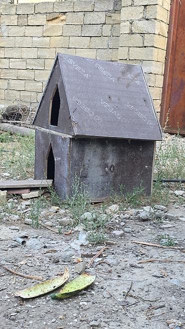 Salam cox təcili satılmalıdı 20 azn deyirəm sonu 15 manat alan uduzmaz lalafo.az -da Salam cox təcili satılmalıdı 20 azn deyirəm sonu 15 manat alan uduzmaz