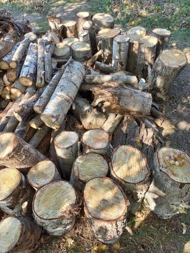 Ağdamda yerləşir,1 kamaz odun var xeyli.Fəhlə və drujba haqqı ilə bir lalafo.az -da Ağdamda yerləşir,1 kamaz odun var xeyli.Fəhlə və drujba haqqı ilə bir