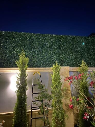 Tavan: 🌿 Yaşıl hasar – təbiətin gözəlliyini evinə gətir! Artıq bağında lalafo.az -da — 8 Tavan: 🌿 Yaşıl hasar – təbiətin gözəlliyini evinə gətir! Artıq bağında — 8