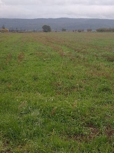 Quba rayonu ərazisi, daimi suyu asfalt yolu olan 4ha torpaq sahəsi lalafo.az -da Quba rayonu ərazisi, daimi suyu asfalt yolu olan 4ha torpaq sahəsi